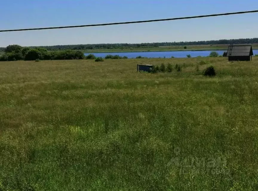 Участок в Новгородская область, Шимский район, Подгощское с/пос, д. ... - Фото 0