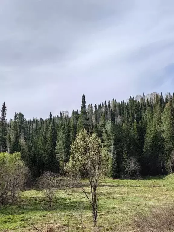 Участок в Кемеровская область, Таштагол ул. Сергея Дюкарева (15.0 ... - Фото 1