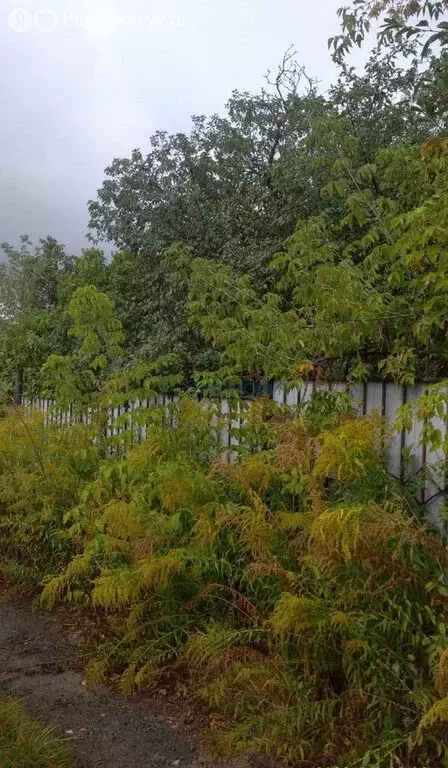 Участок в Нижний Новгород, Деловая улица, 40 (8.1 м) - Фото 2