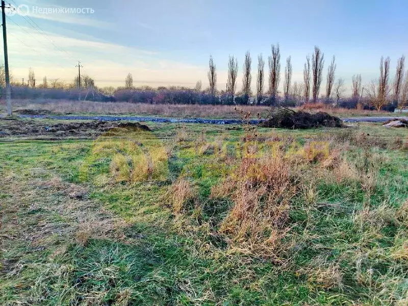 Участок в станица Холмская, улица Ломоносова, 3 (10 м) - Фото 1