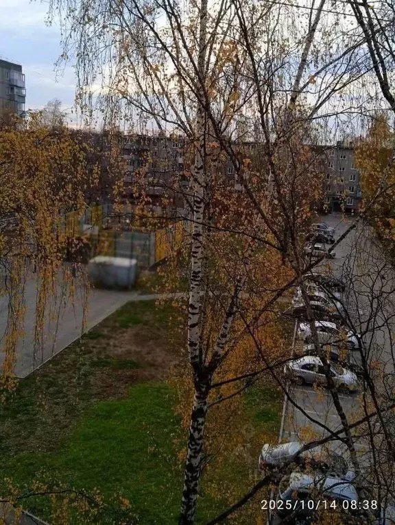 4-к кв. Пермский край, Пермь Чердынская ул., 29 (60.0 м) - Фото 1