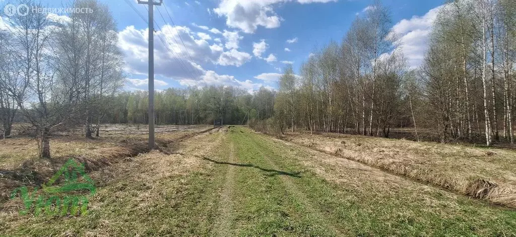 Участок в Московская область, Раменский муниципальный округ, СНТ ... - Фото 2