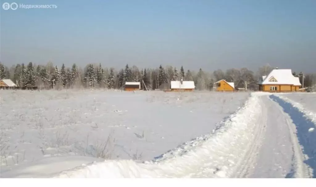 Участок в Рузский городской округ, деревня Берёзкино (9 м) - Фото 1