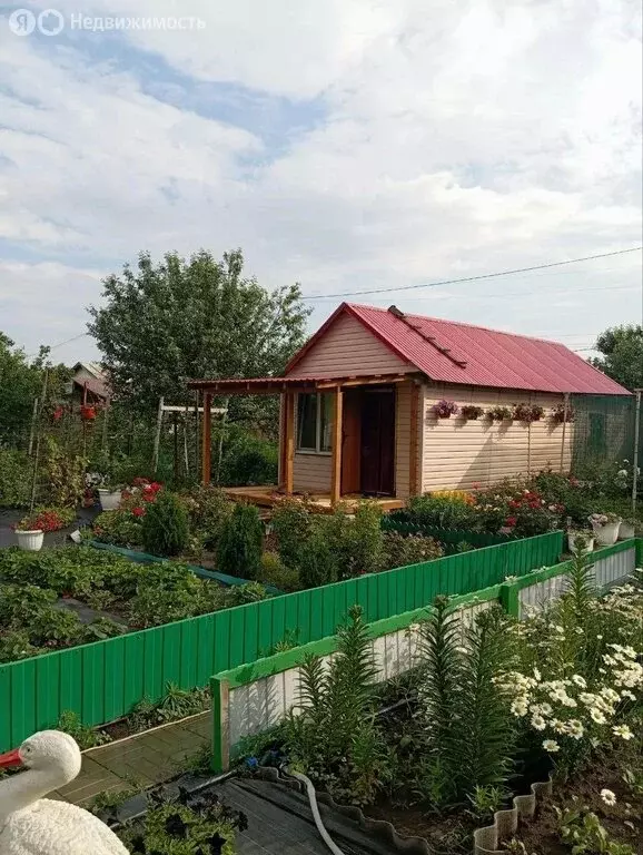 Участок в Балаково, СНТ Цемент, Терновая улица (6 м) - Фото 1