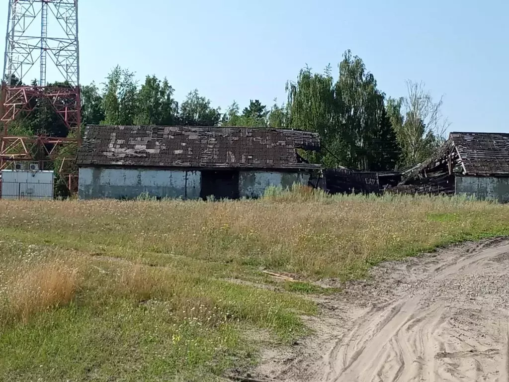 Склад в Марий Эл, Горномарийский район, д. Озерки Советская ул. (435 ... - Фото 0