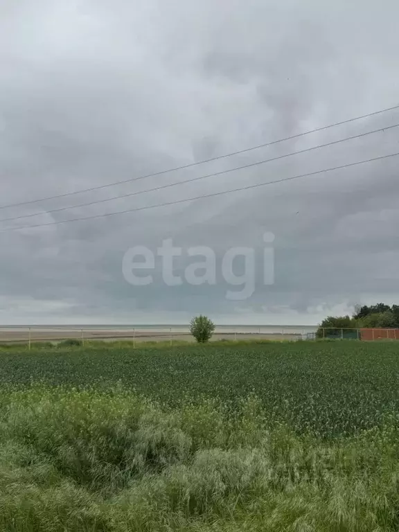 Участок в Ростовская область, Неклиновский район, с. Натальевка ул. ... - Фото 1