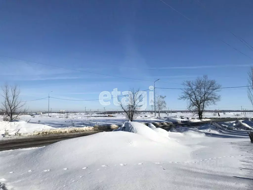 Участок в Саратовская область, Балашовский район, Хоперское ... - Фото 0