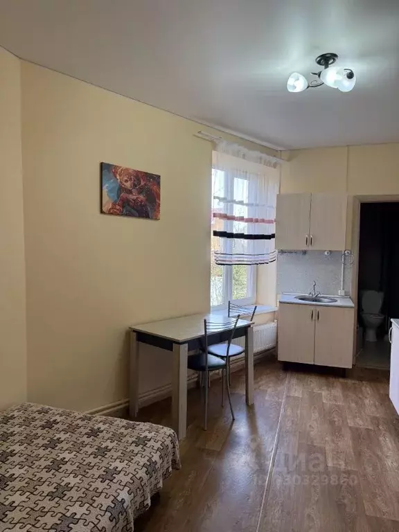 Студия Московская область, Одинцовский городской округ, с. Акулово ул. ... - Фото 2
