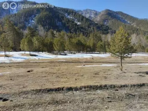 Участок в Чемальский район, село Толгоек (344.8 м) - Фото 2