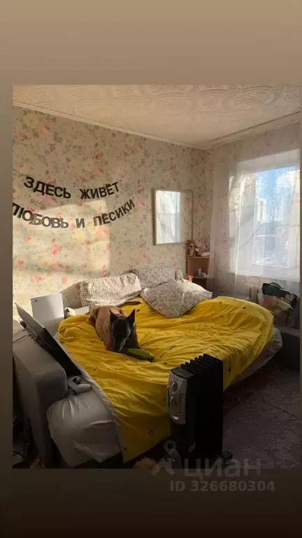 1-к кв. Московская область, Чехов Молодежная ул., 2 (29.3 м) - Фото 1