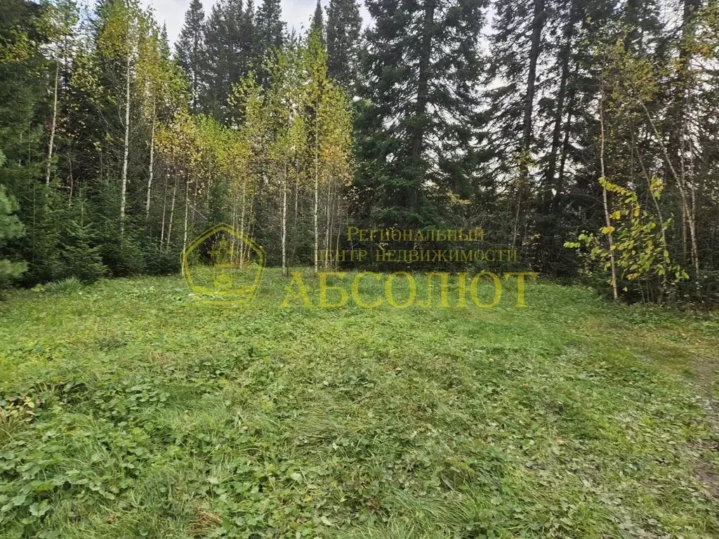 Участок в Свердловская область, Ревда муниципальный округ, пос. ... - Фото 2