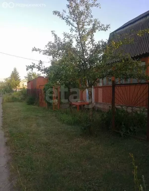 Дом в Воронеж, СНТ Радуга (60 м) - Фото 2