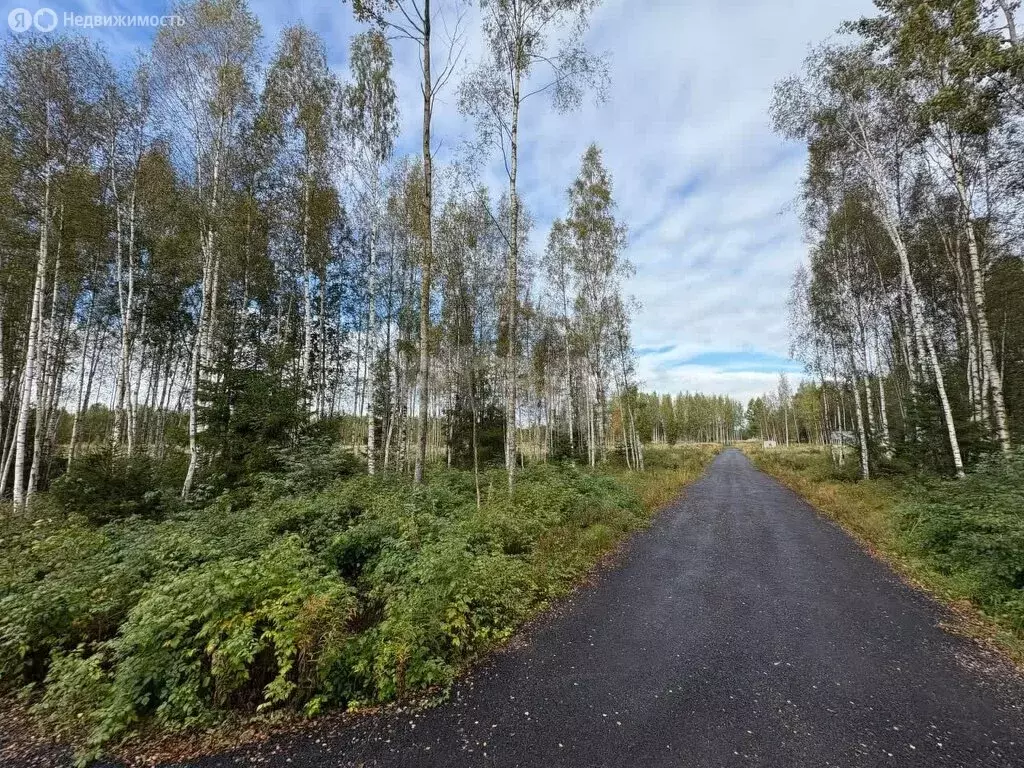 Участок в Куйвозовское сельское поселение, КП Грузино сити (5 м) - Фото 1