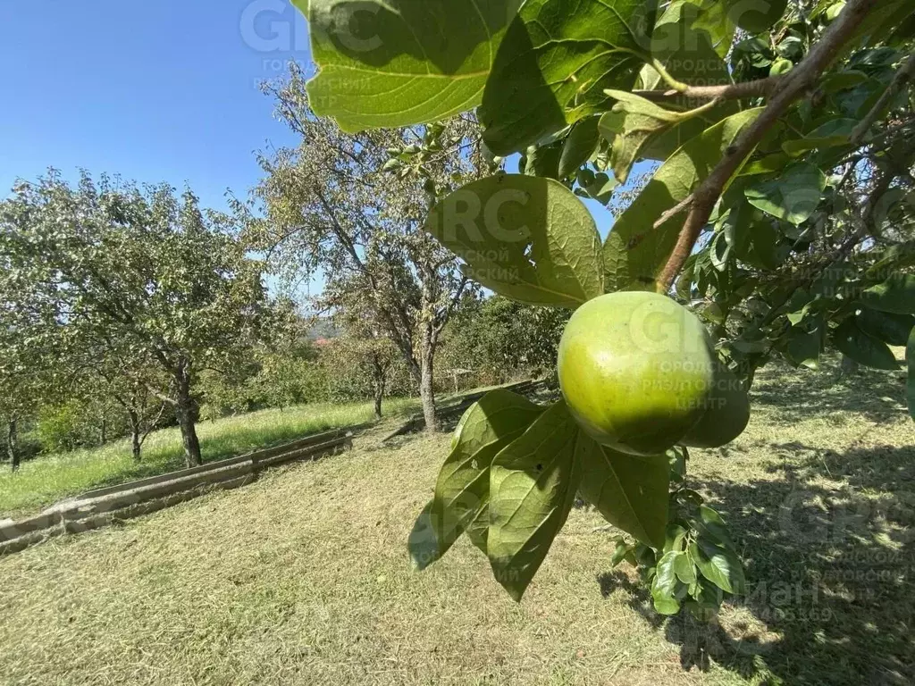 Участок в Краснодарский край, Сочи городской округ, с. Нижняя Шиловка ... - Фото 1