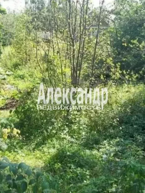 Участок в Выборгский район, посёлок Красносельское (12.8 м) - Фото 2