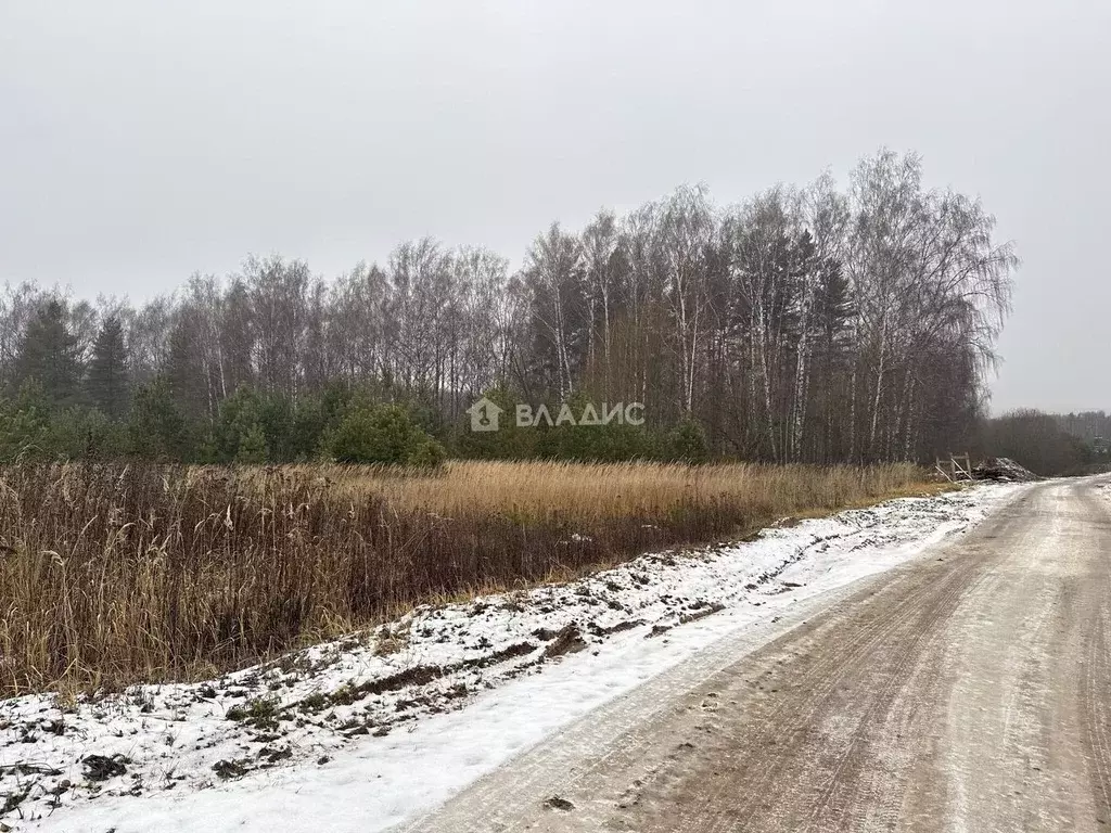 Участок в Владимирская область, Суздальский район, Новоалександровское ... - Фото 1