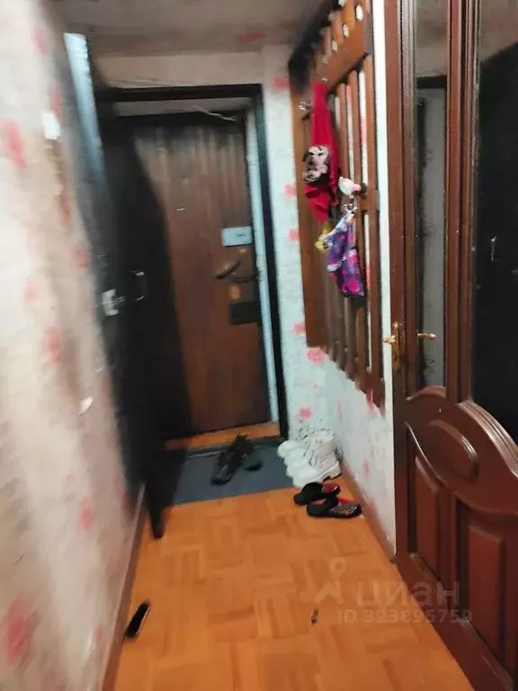 2-к кв. Новосибирская область, Новосибирск пер. 3-й Крашенинникова, ... - Фото 2