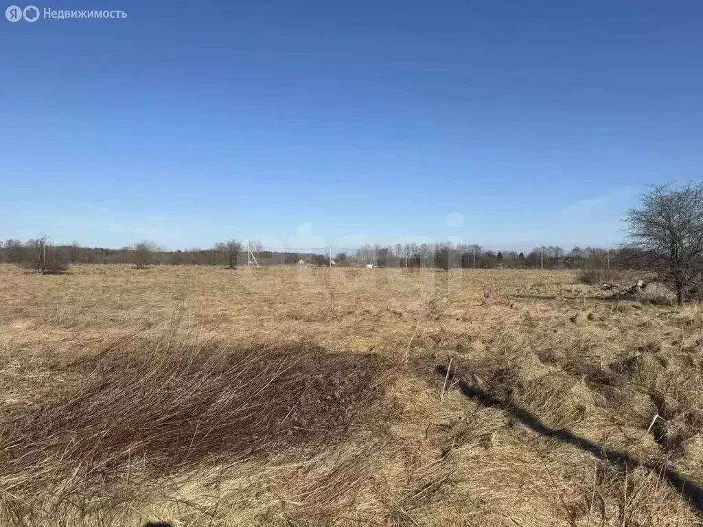 Участок в Калининградская область, Гурьевский муниципальный округ, ... - Фото 2
