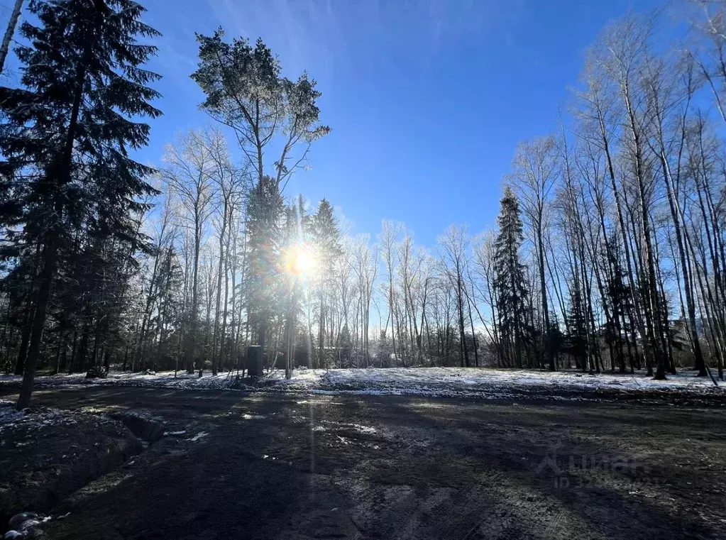 Участок в Московская область, Чехов  (10.0 сот.) - Фото 1