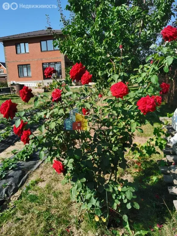 Дом в Тульская область, городской округ Тула, деревня Малёвка, 2-й ... - Фото 2
