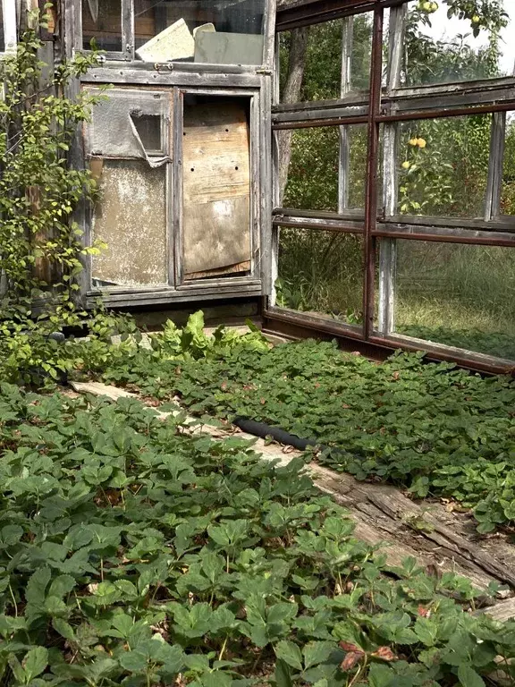 Дом в Волгоградская область, Светлоярский район, Кировское с/пос, ... - Фото 0