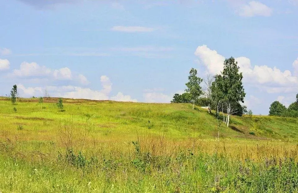 Участок в Московская область, Клин городской округ, д. Коськово  (9.82 ... - Фото 1