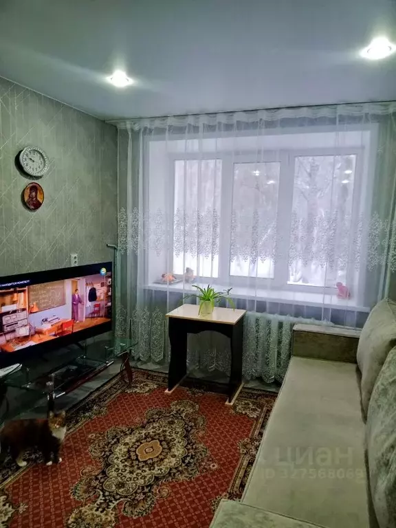 Комната Омская область, Омск ул. 3-я Молодежная, 62к1 (16.9 м) - Фото 1