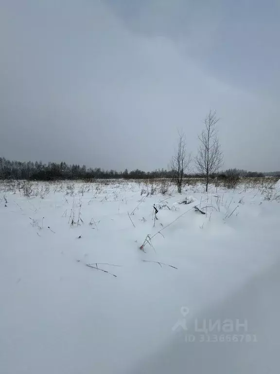 Участок в Московская область, Талдомский городской округ, д. Мякишево  ... - Фото 0