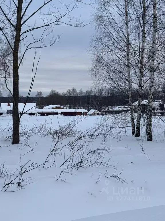 Участок в Московская область, Ступино городской округ, с. Суково ул. ... - Фото 1