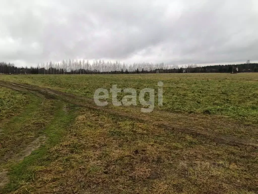 Участок в Костромская область, Красное-на-Волге городское поселение, ... - Фото 0