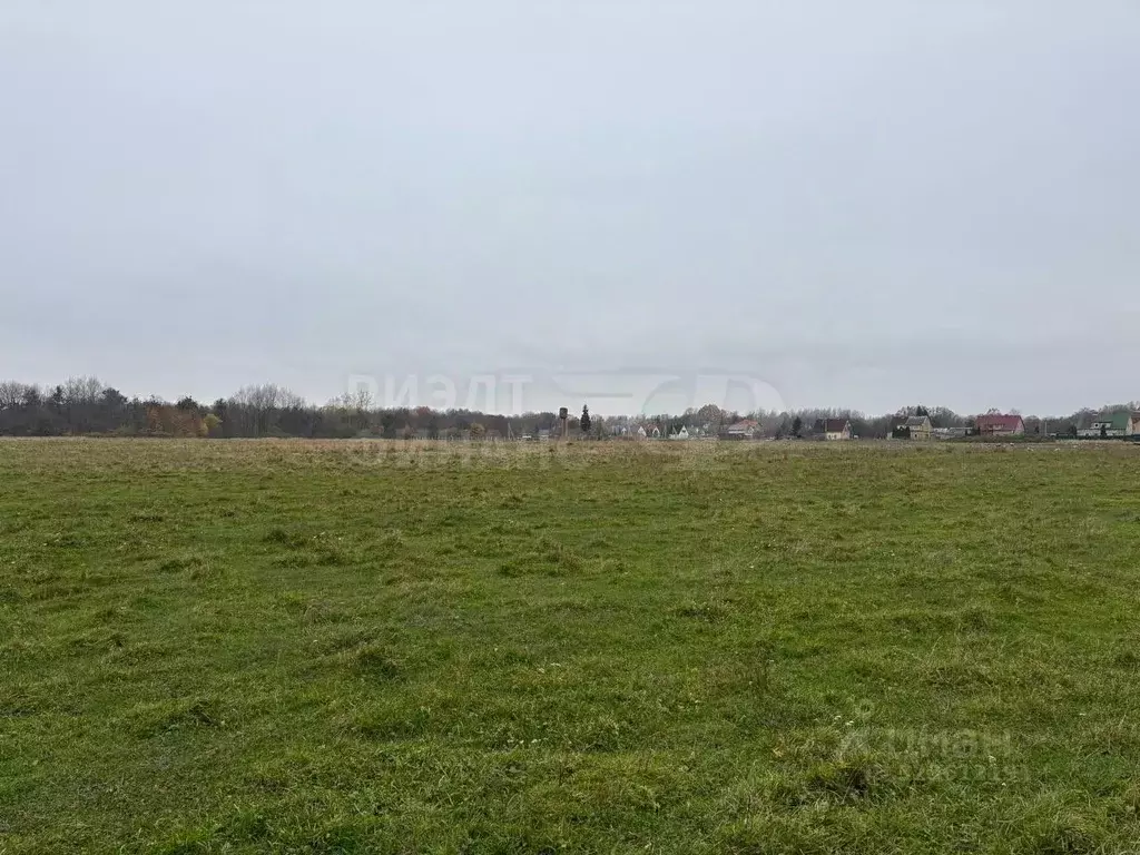 Участок в Калининградская область, Багратионовский муниципальный ... - Фото 2