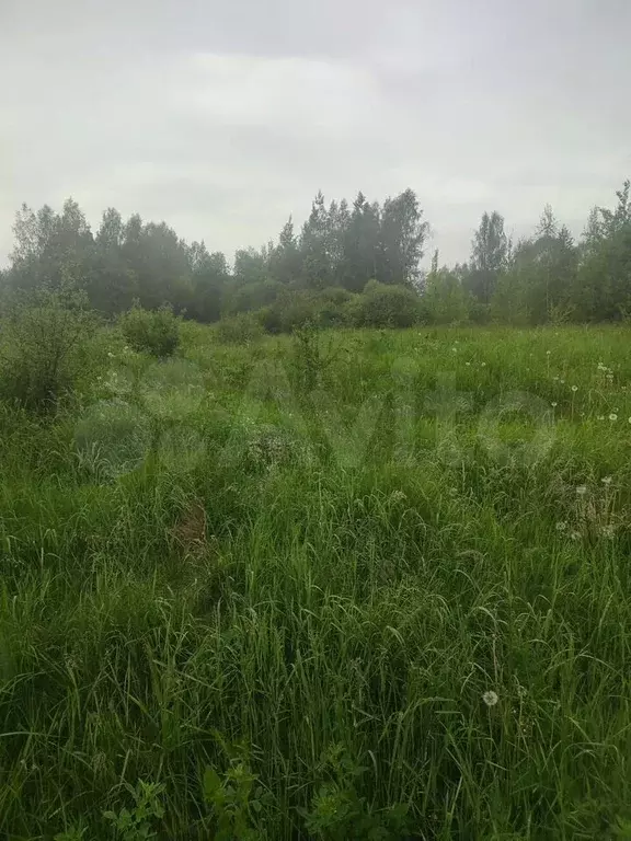 Участок 10 сот. (ИЖС) - Фото 0