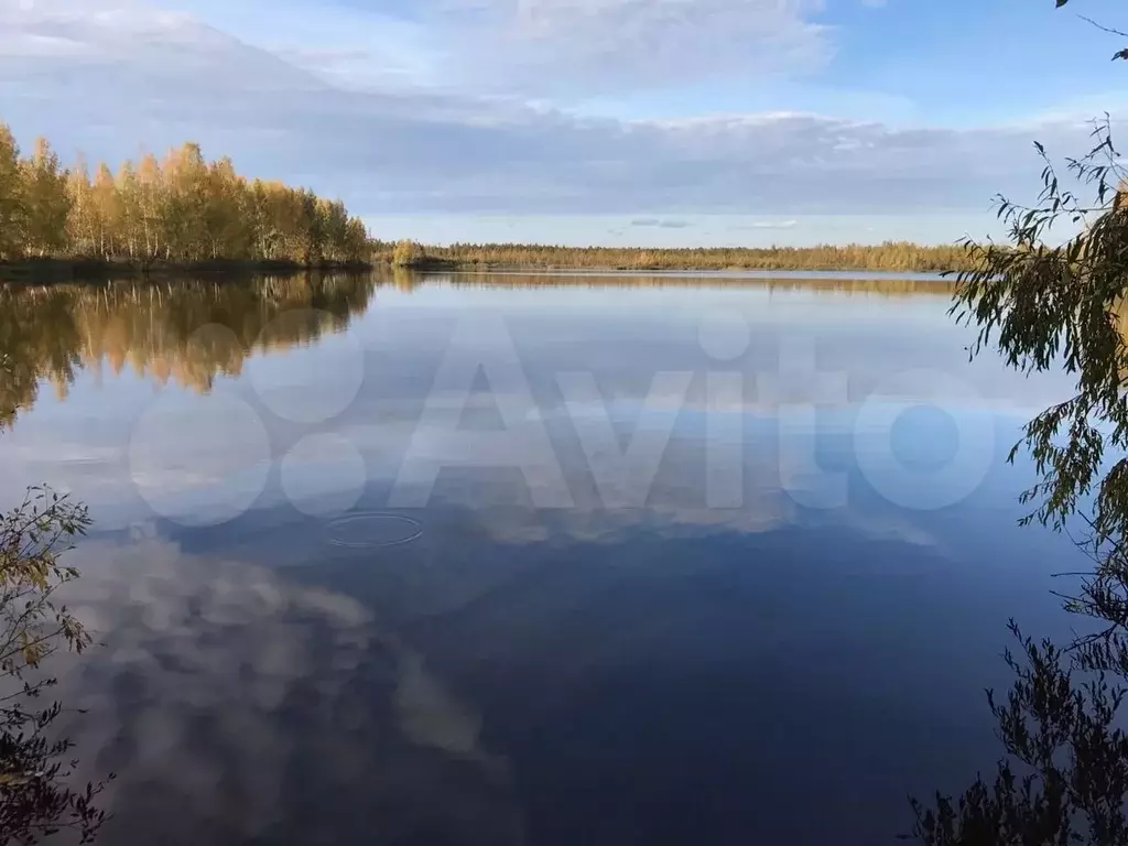 Купить Сад В Балахне Области