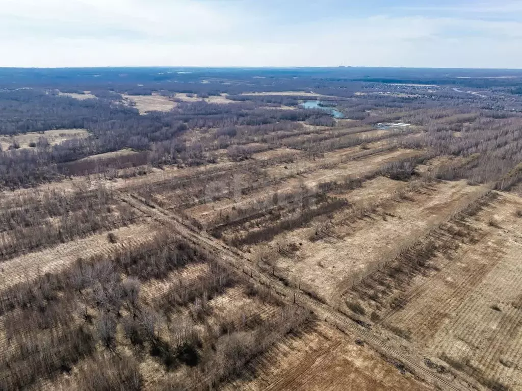 Участок в Новосибирская область, Новосибирский район, Березовский ... - Фото 2