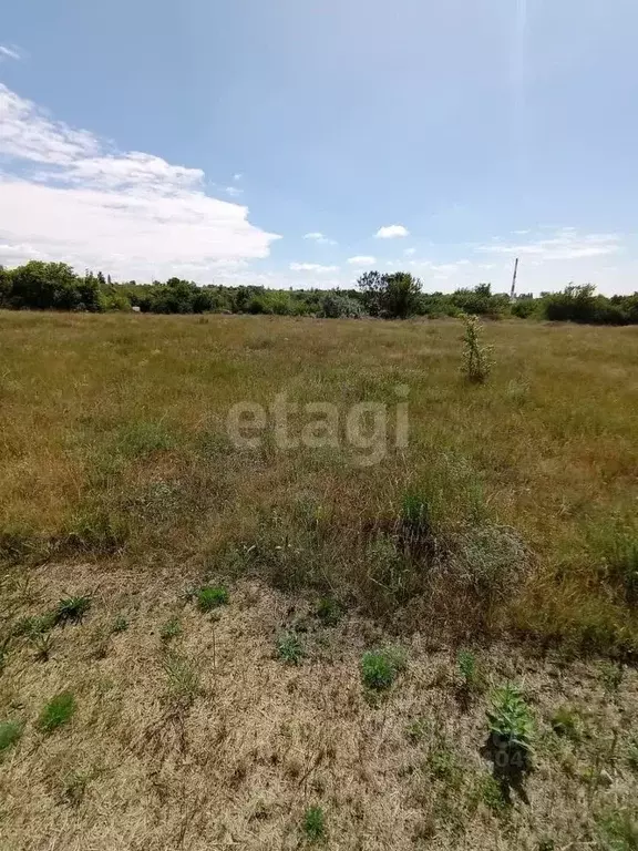 Участок в Белгородская область, Белгород Юго-Западный-2.2 мкр,  (15.0 ... - Фото 0