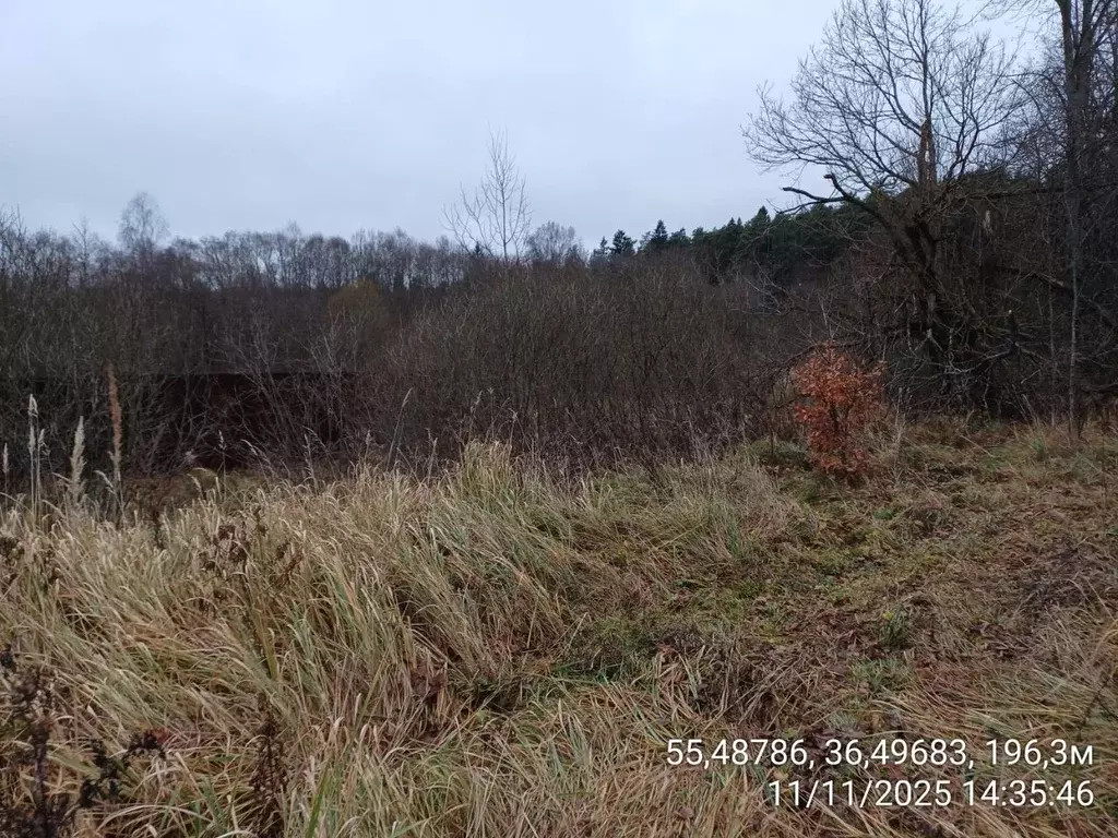 Участок в Московская область, Наро-Фоминский городской округ, д. ... - Фото 2