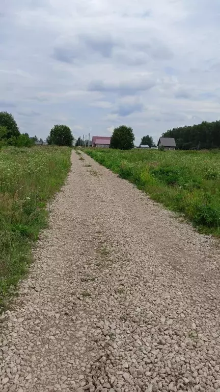 Участок в Нижегородская область, Арзамас городской округ, с. Чернуха ... - Фото 0