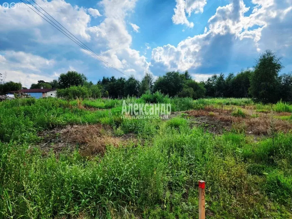 Участок в Приозерский район, Раздольевское сельское поселение, деревня ... - Фото 0