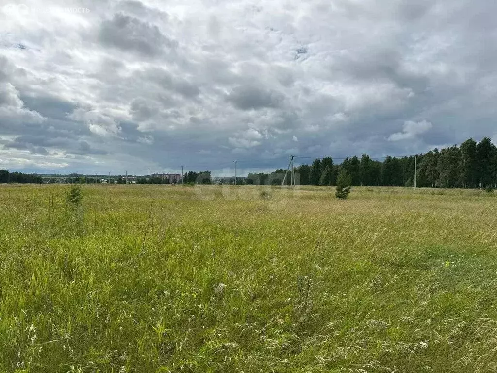 Участок в Новосибирский район, Морской сельсовет, ДНТ Усадьба (10 м) - Фото 0