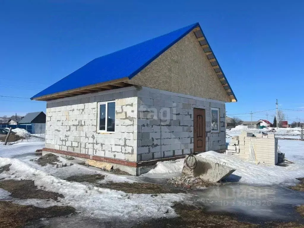 Дом в Новосибирская область, Колыванский район, д. Чаус ул. Николаева ... - Фото 0