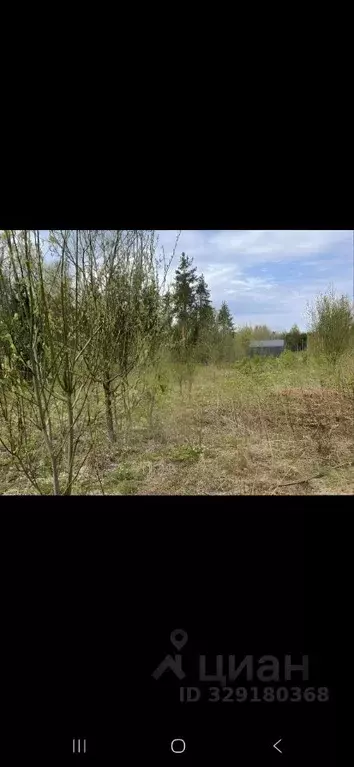 Участок в Ленинградская область, Приозерский район, Красноозерное ... - Фото 2