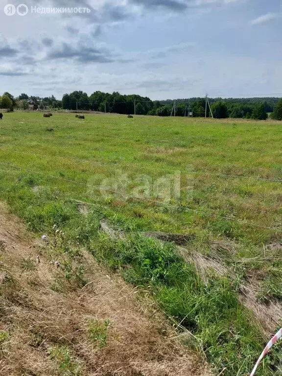Участок в Калининградская область, Багратионовский муниципальный ... - Фото 2