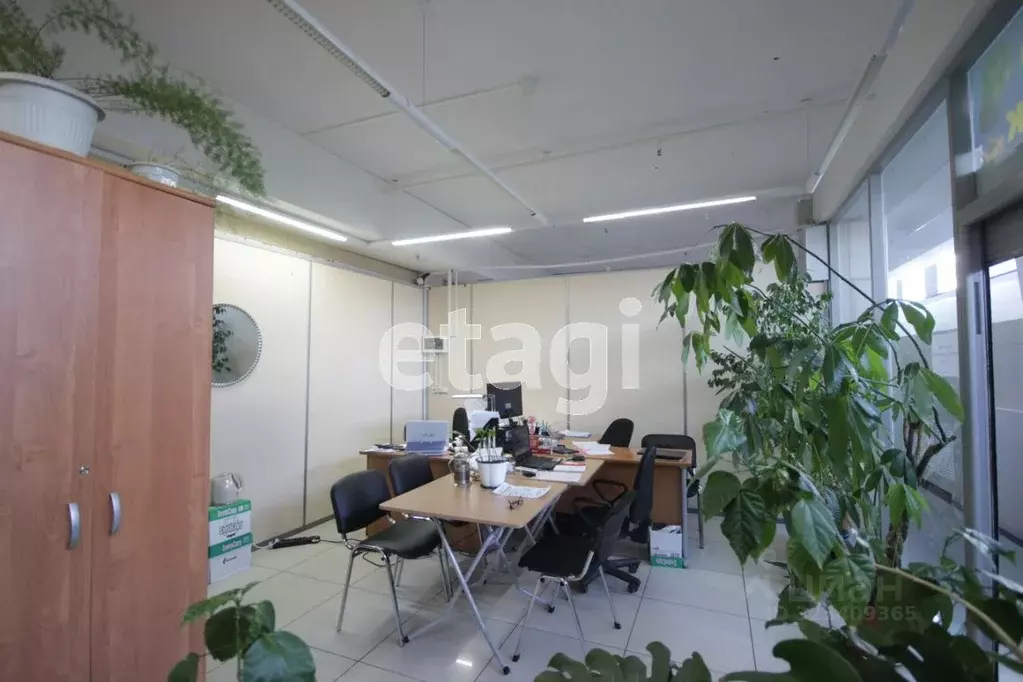 Торговая площадь в Ямало-Ненецкий АО, Новый Уренгой Юбилейная ул., 5 ... - Фото 2