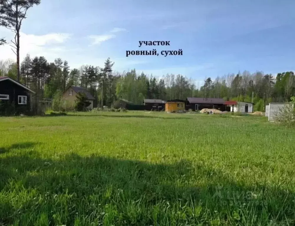 Участок в Ленинградская область, Выборгский район, Полянское с/пос, ... - Фото 1