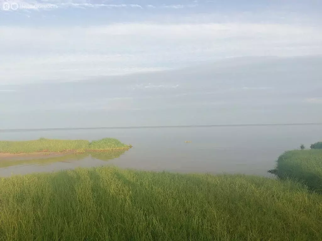 Участок в Ракомское сельское поселение, деревня Песчаное (15 м) - Фото 0