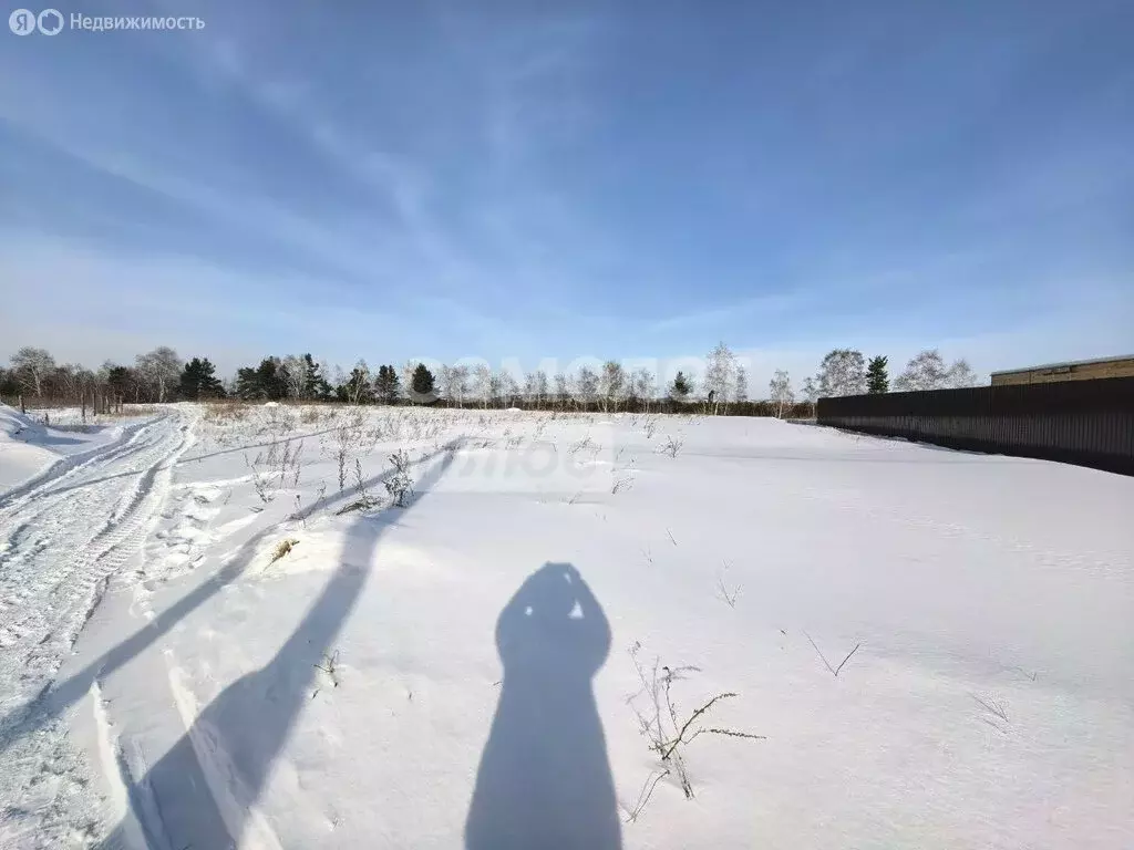 Участок в Иркутск, посёлок Вересовка (12 м) - Фото 2