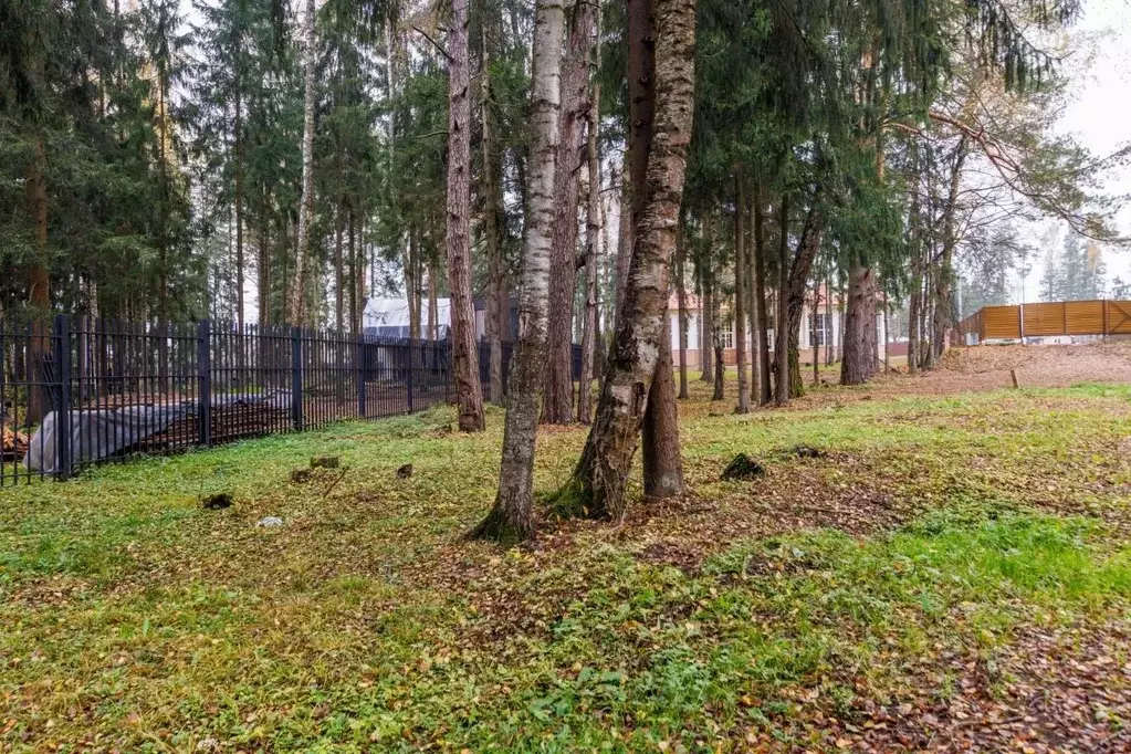 Участок в Московская область, Красногорск городской округ, пос. ... - Фото 2