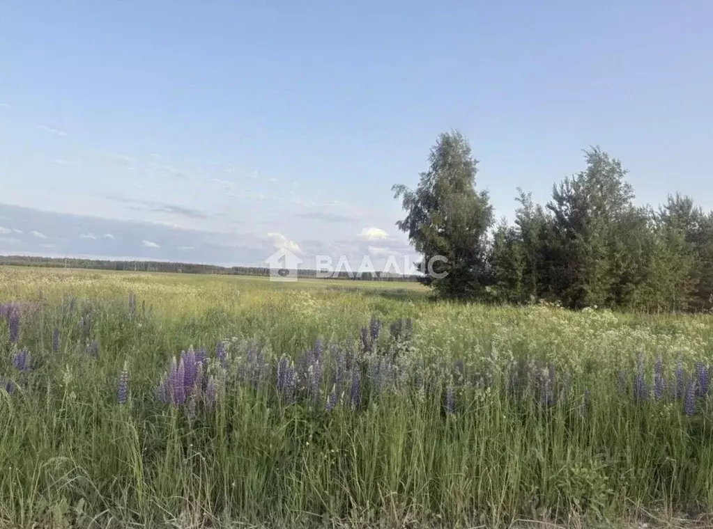 Участок в Владимирская область, Ковровский район, Ивановское с/пос, с. ... - Фото 1