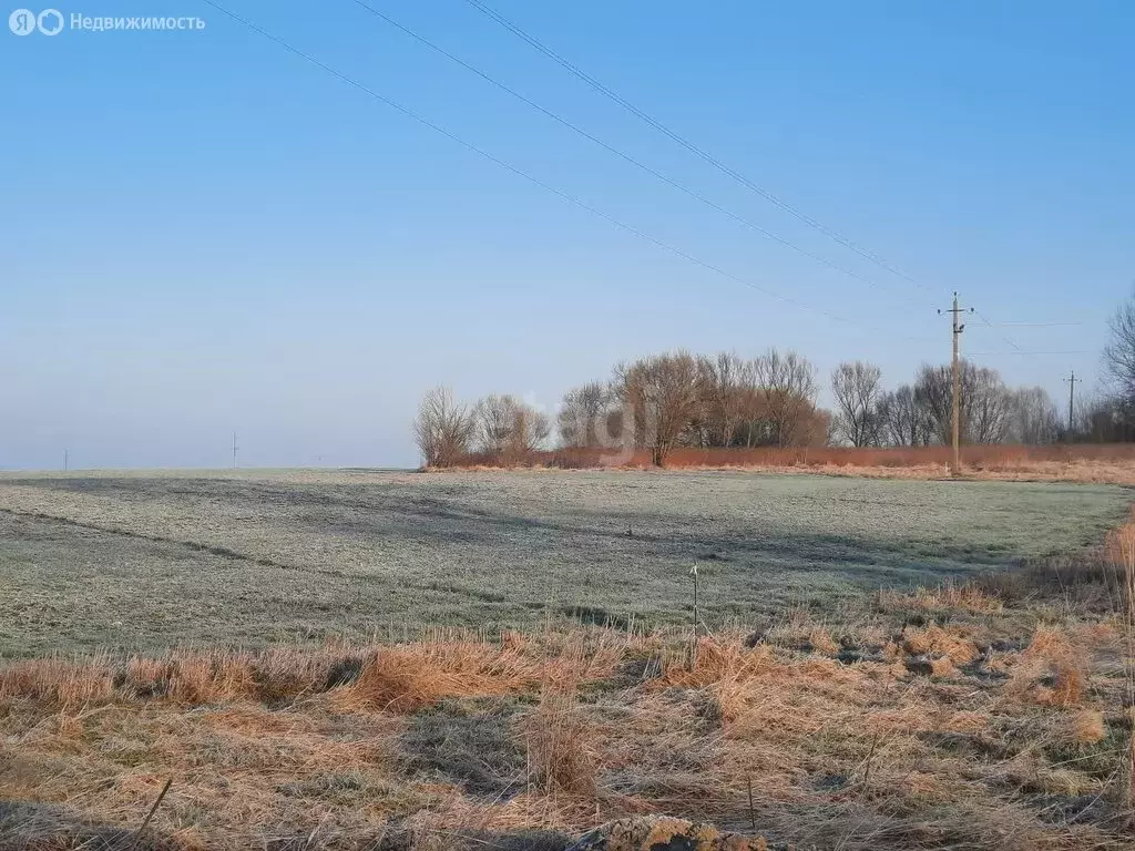 Участок в посёлок Заозерье, Луговая улица (10 м) - Фото 1