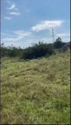 Участок в Крым, Саки Химик-1 СНТ, 2/40 (4.58 сот.) - Фото 0